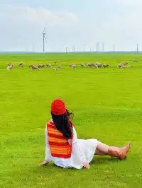 烏蘭布統黃花溝,錯過這片綠意你會哭。