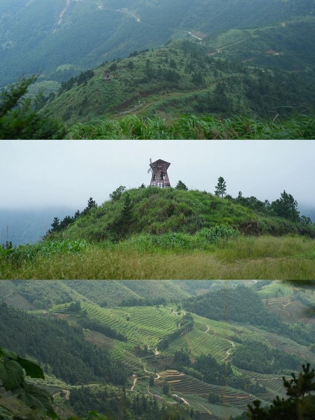 早秋第一次徒步爬大芹山啦。