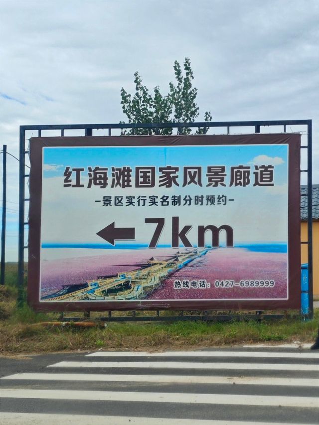 盤錦紅海灘｜最美紅色海岸線。