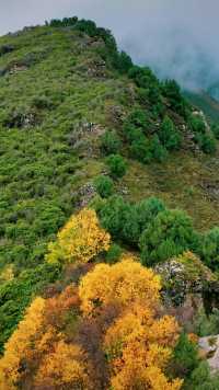 山河已秋｜祁連山冰溝河景區。