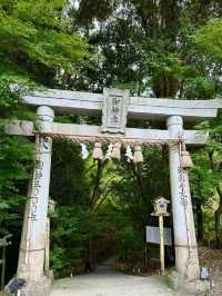 日本遛娃日記 | 佐賀就該這樣玩武雄篇。
