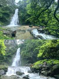 森林秘境,綠野仙蹤,洗肺聖地。