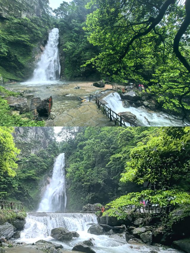 森林秘境,綠野仙蹤,洗肺聖地。 森林秘境,綠野仙蹤,洗肺聖地。