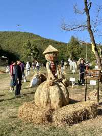 合肥旅遊｜打卡藏在肥東冷門又寶藏的古村落。