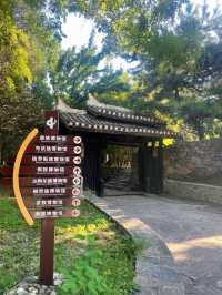 不在異域，就在北京。