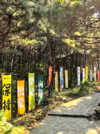 山葉口。