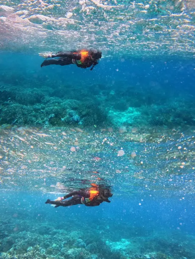 Non-swimmers can snorkel in the Indian Ocean!