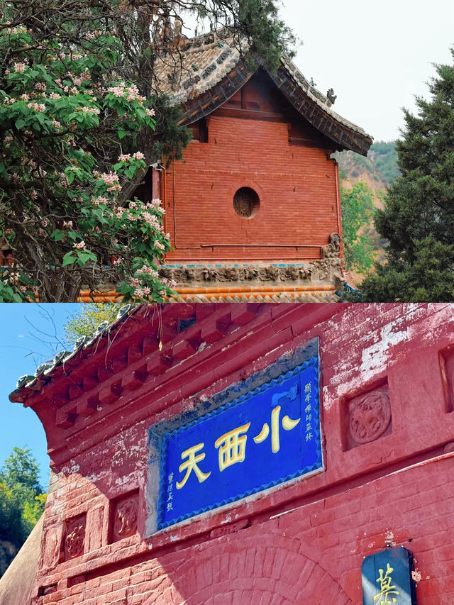既見未來，何不拜·小西天。