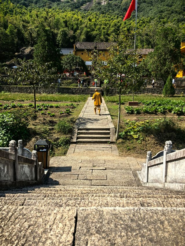 九華後山的九子岩也很美。 九華後山的九子岩也很美。