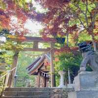 Tenjinyama Ryokuchi Park Japanese garden.