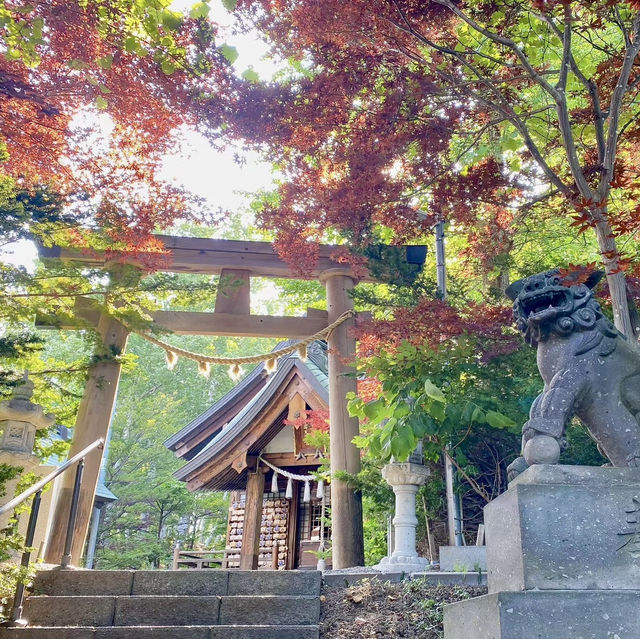 Tenjinyama Ryokuchi Park Japanese garden.