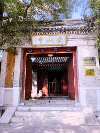 免費的北坞公園，拍攝水稻、交通攻略。