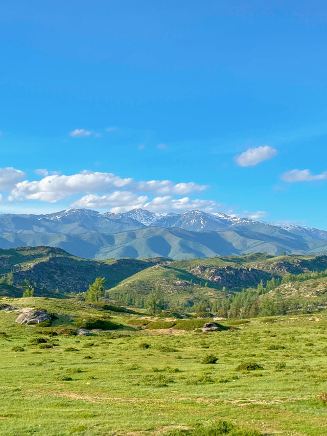 新疆 | 邂逅一望無際的草原。 新疆 | 邂逅一望無際的草原。