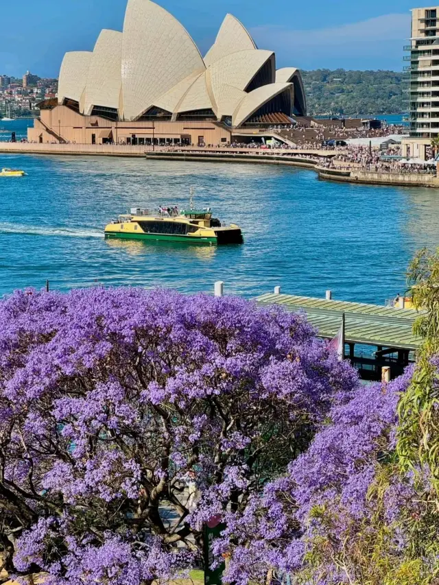 雪梨環形碼頭是個值得參觀的好地方🤍🧡