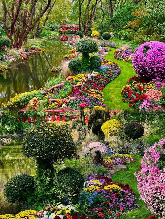 上海共青森林公園｜現實版的莫奈花園！