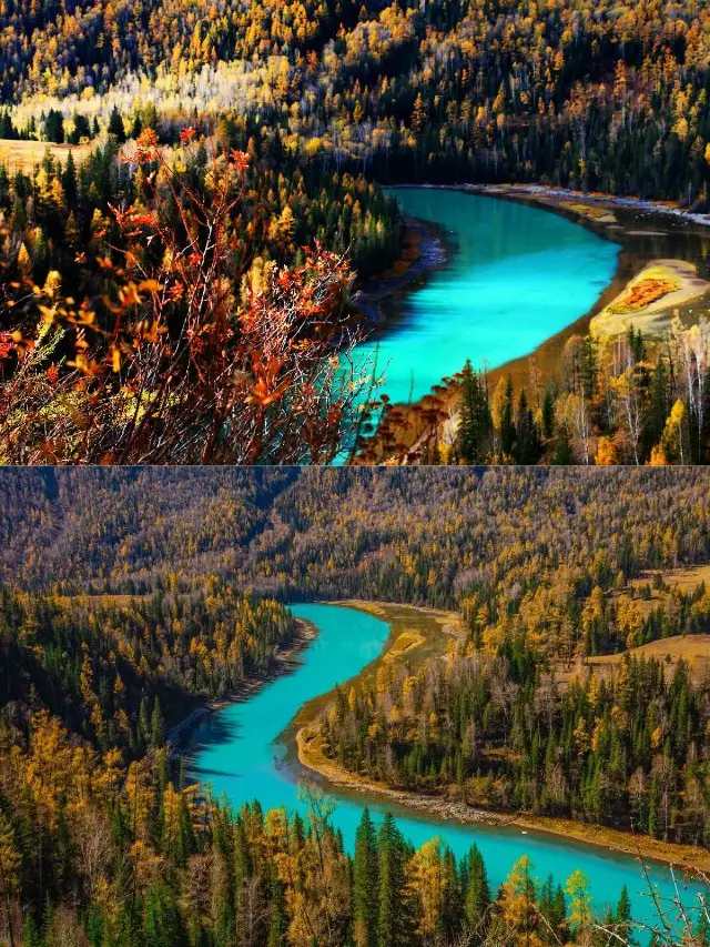 Kanas in November is a breathtaking autumn wonderland!