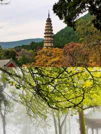 靈岩寺，超級上鏡的好地方。