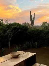 墨西哥托多斯桑托斯 Paradero Todos Santos。