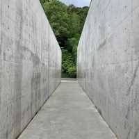 Setouchi Triennale: The Ultimate Guide to Naoshima!