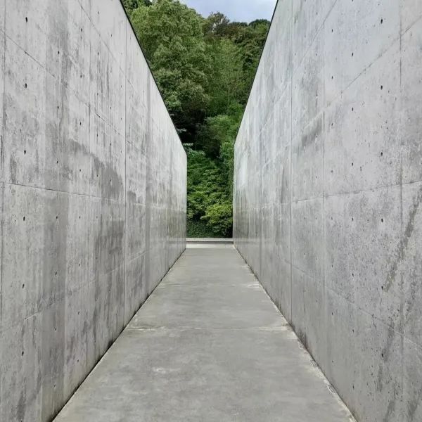 Setouchi Triennale: The Ultimate Guide to Naoshima!