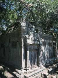 Discovering the Magic of Angkor Wat with a Seven-Day Pass