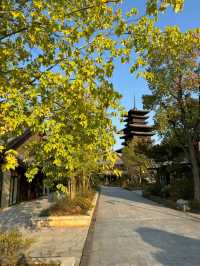 黃岡黃梅東山問梅村。