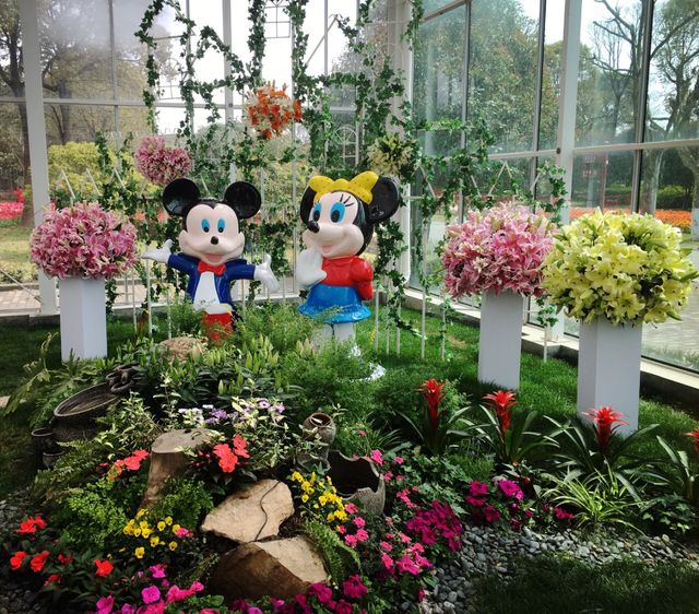 初春暢遊鮮花港。