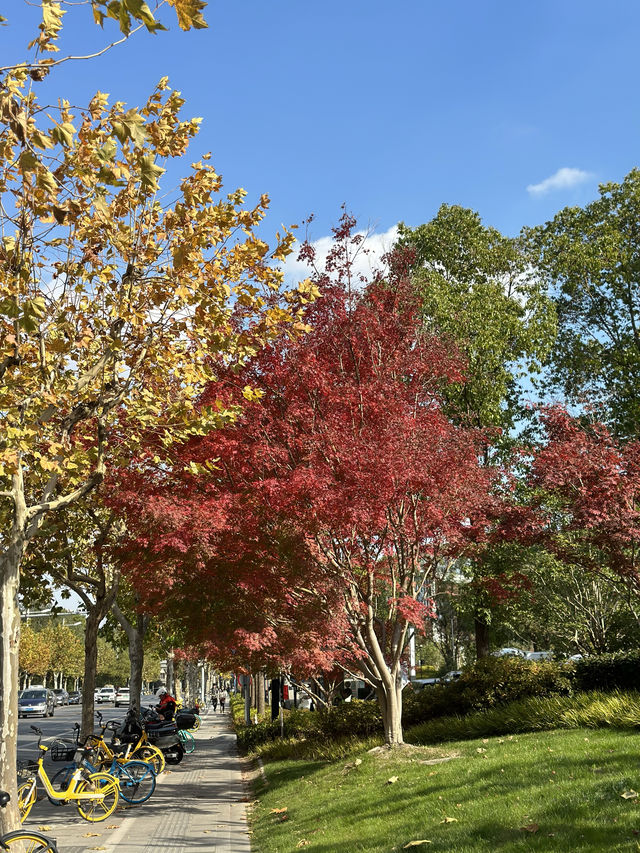 半馬蘇河2號公園