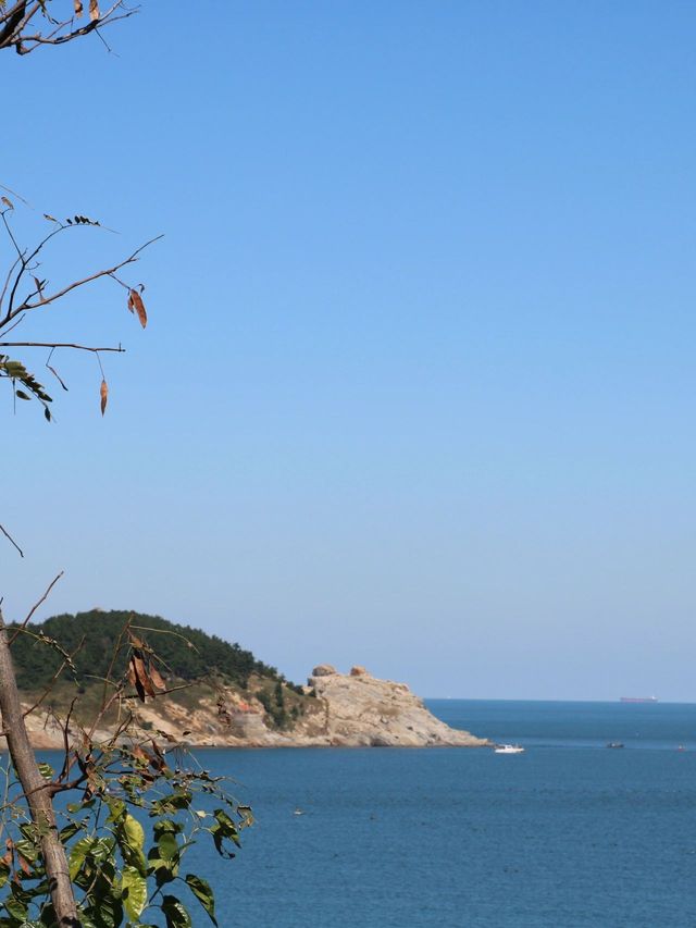 超治癒冬季山東威海-青島遊 不看後悔真的太美了