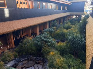 A hot spring hotel you can't miss in Dali