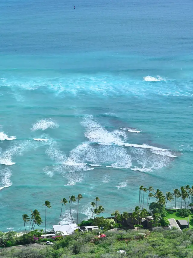 미국 8일 여행 초상세 가이드 완벽한 여행 즐기기