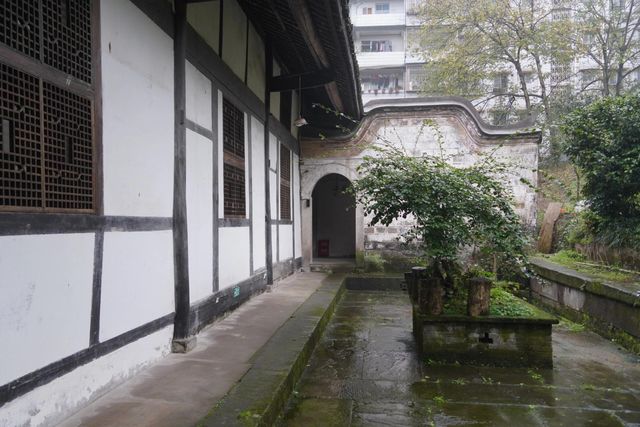 風過瀘州帶酒香……我在瀘州走着走着就「醉」了！