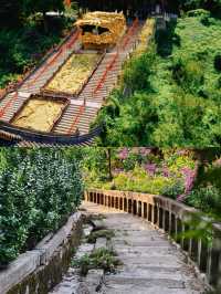 金龍寺：我很少用「震撼」形容一個地方！