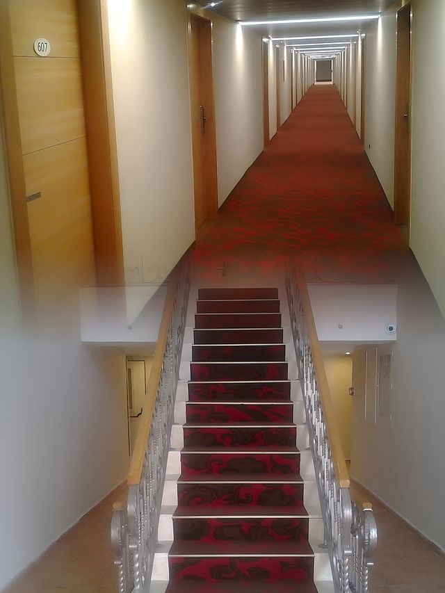 一場心靈棲息之旅 一場心靈棲息之旅