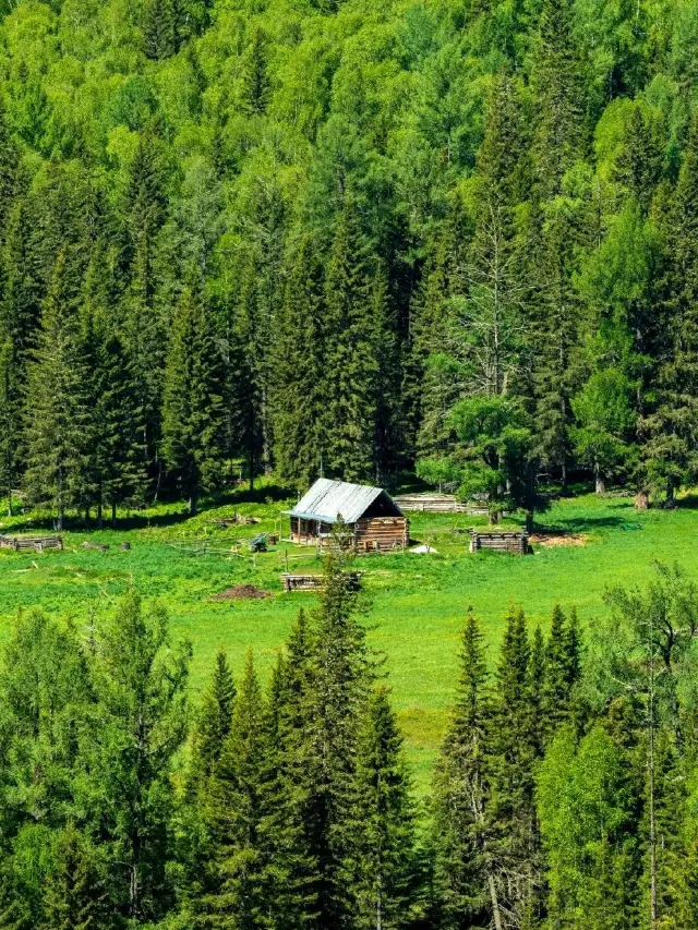 14-Day New Year Trip to Urumqi, Northern Xinjiang, and Southern Xinjiang