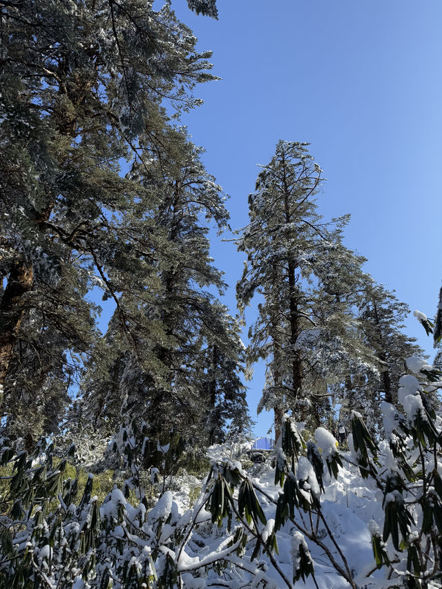 雅安瓦屋山，冬天玩雪值得去嗎