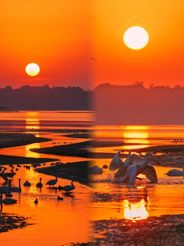 Forget Sanya, Weihai is too beautiful!