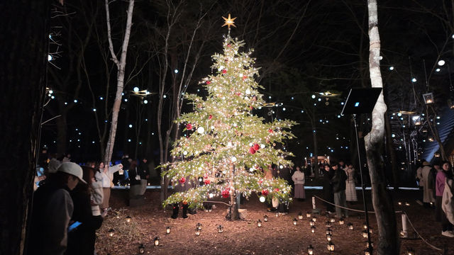 Karuizawa Highland Church Christmas Illumination Requires Advance Reservation