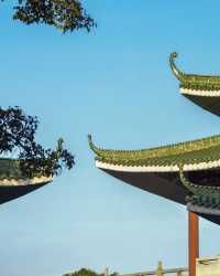 別擠去汕頭了 揭陽也好好吃啊