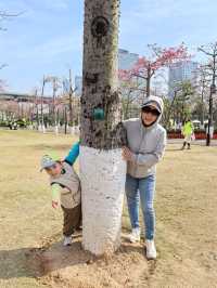 珠海花海長廊遛娃之旅
