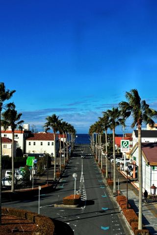 Tateyama, Japan: A Day of Seaside Dreams
