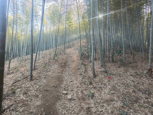 徒步蘇皖步道，登頂南山竹海，新年祈福之旅