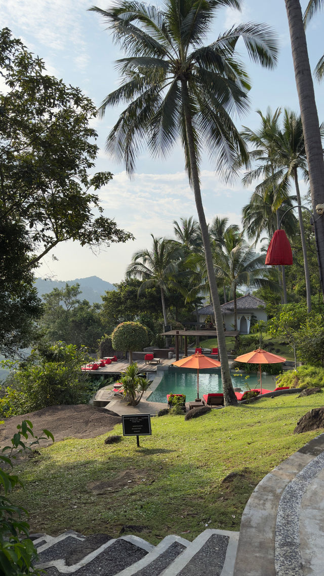 叢林俱樂部 | 蘇梅島必打卡景觀酒店