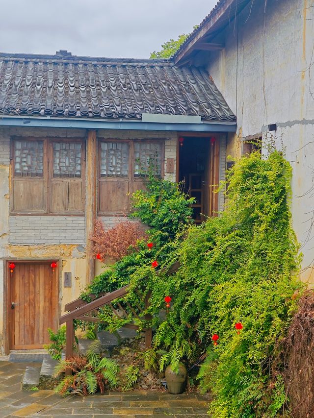 陽朔｜在民宿，和貓咪成為了好朋友