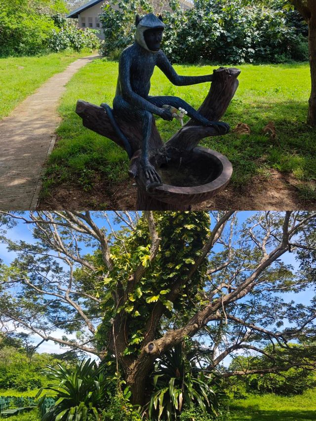 探索斯里蘭卡漢班托特乾區植物園：赤道上的綠色奇蹟