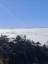 峨眉山-樂山-都江堰帶娃尋熊貓超全旅遊攻略