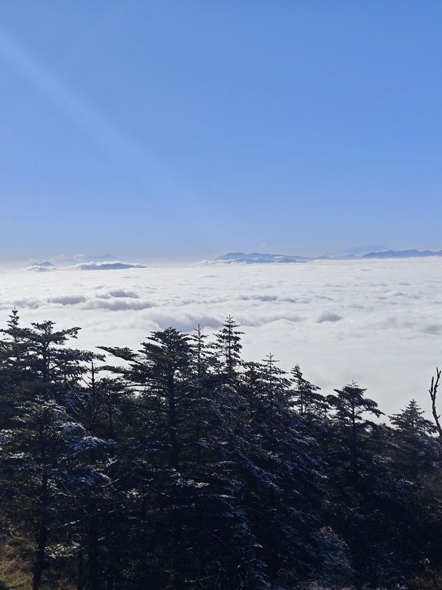 峨眉山-樂山-都江堰帶娃尋熊貓超全旅遊攻略