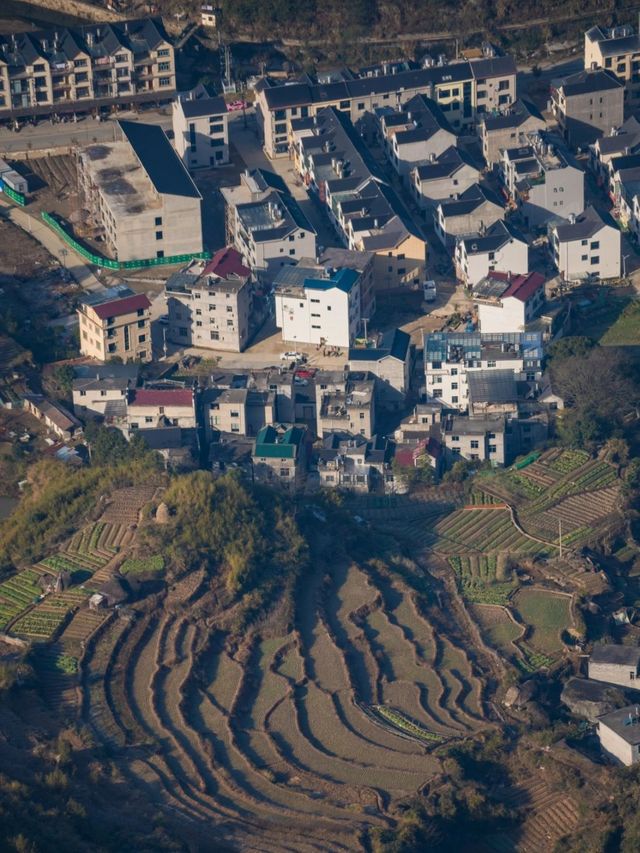 帶娃探秘廬山森林 春節親近大自然