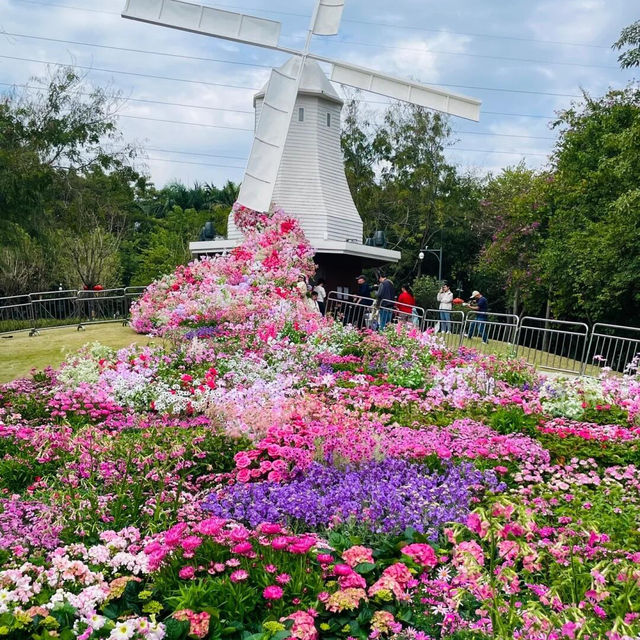 偽出國必去！荷蘭花海浪漫打卡聖地🌷