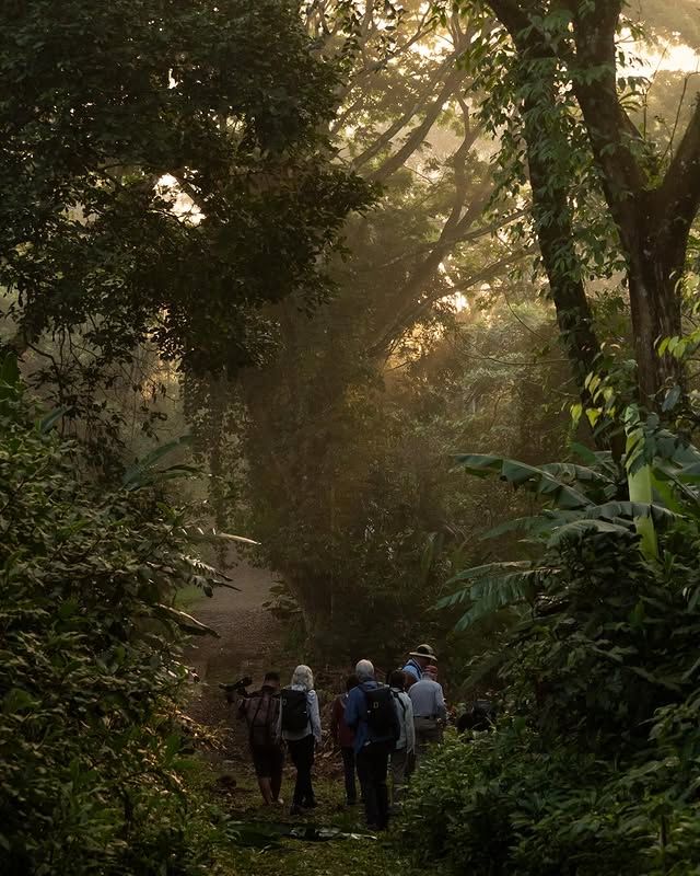 肯亞蒙巴薩巴爾阿爾沙圖：自然保護區的綠意之旅 